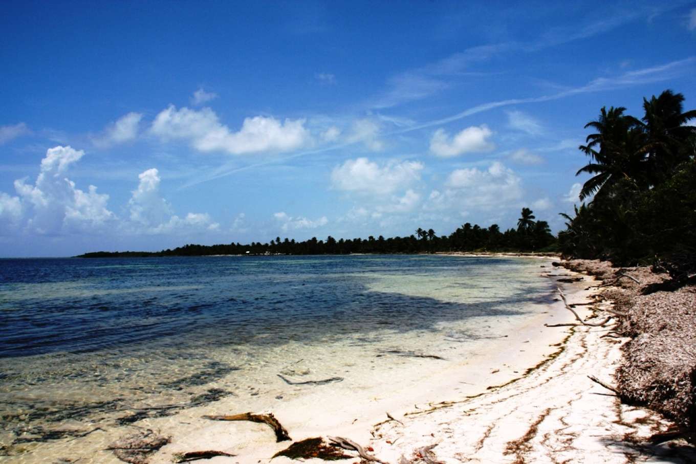 Cockroach Bay Preserve State Park. Можно ли купить остров.