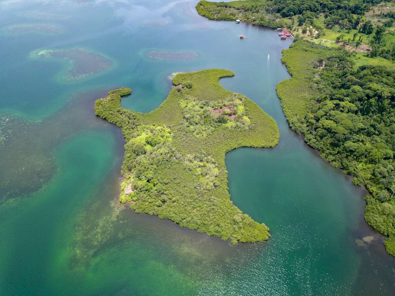 Near islands. Бокас-дель-Торо архипелаг птицы.