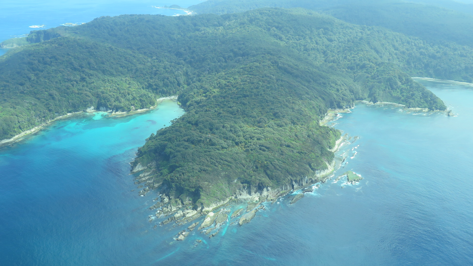 Южная америка острова. Исла Южная Америка острова. Остров Guafo Island.