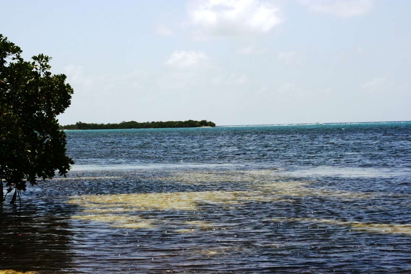 Cockroach Bay - Belize, Central America - Private Islands for Sale