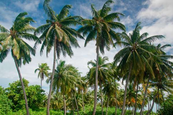 Keraamithaa Island - Maldives, Asia - Private Islands for Sale