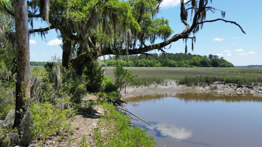 Morgan's Island - South Carolina, United States - Private Islands for Sale