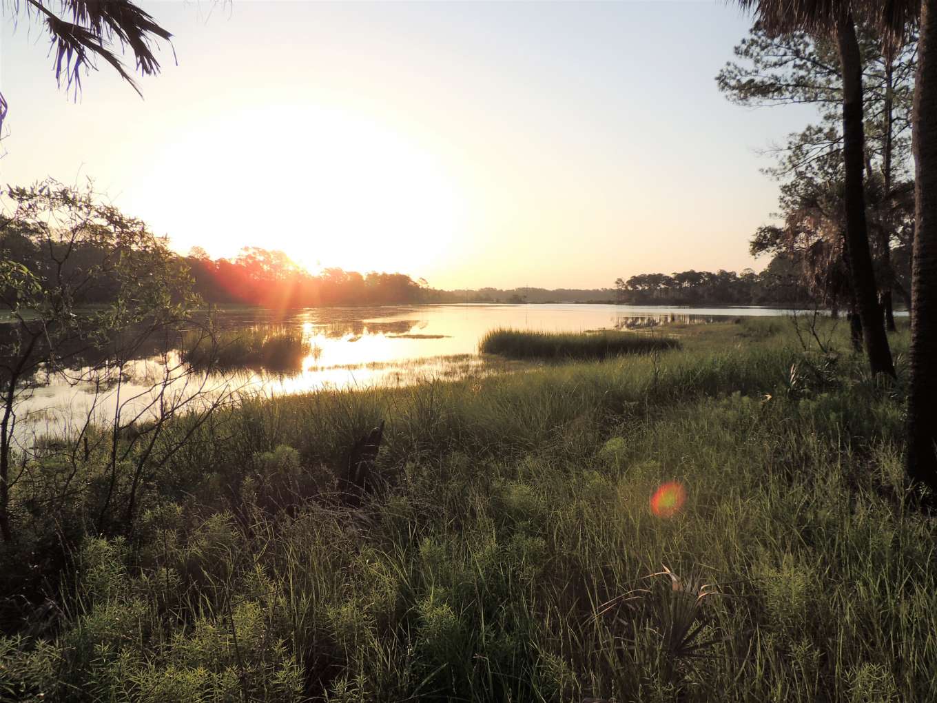 Savage Island Plantation - South Carolina, United States - Private ...