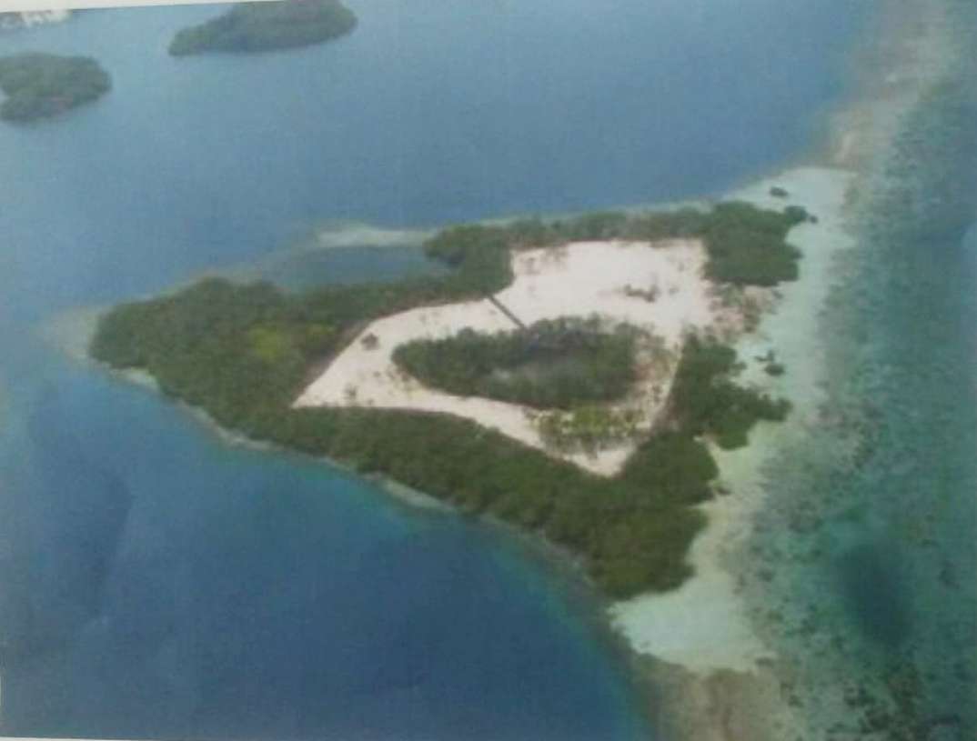how much does it cost to buy a small island