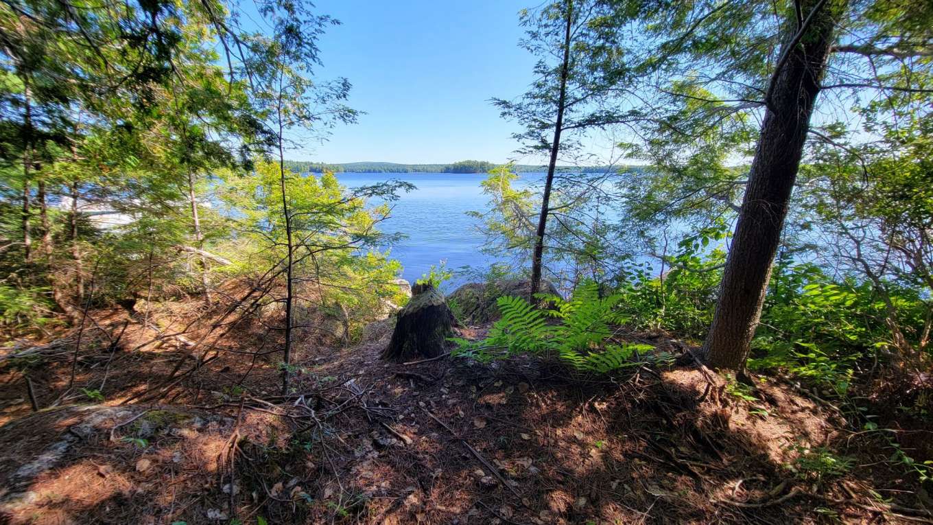 Butterfield Island, Maine - Maine, United States - Private Islands for Sale