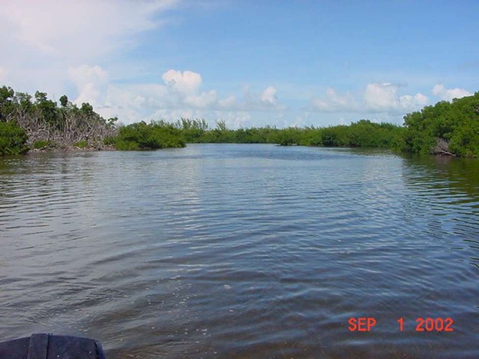 Florida Keys Island Florida United States Private Islands For Sale    700 Image 5cc3416559  1100 731 