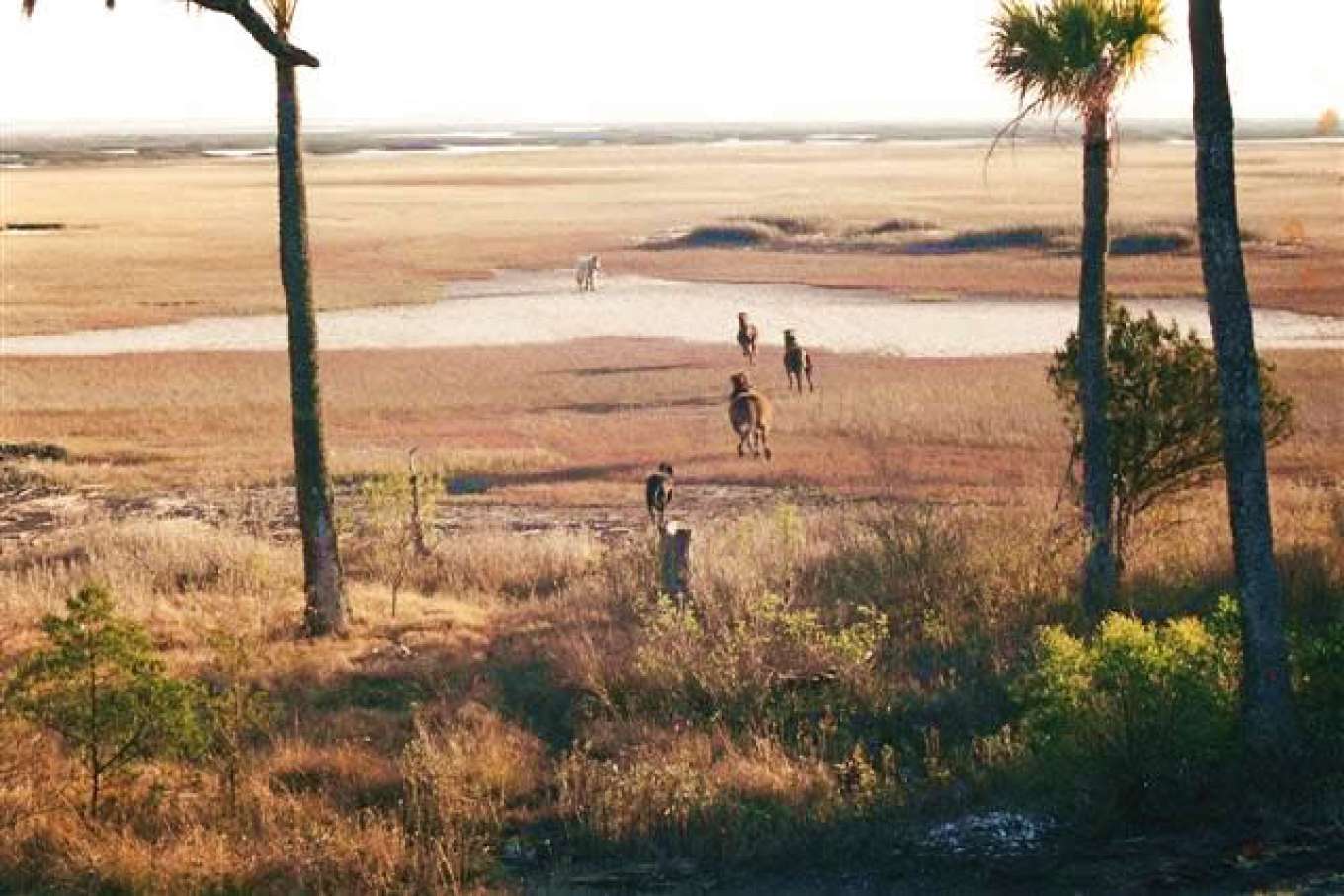 Little Horse Island South Carolina, United States Private Islands