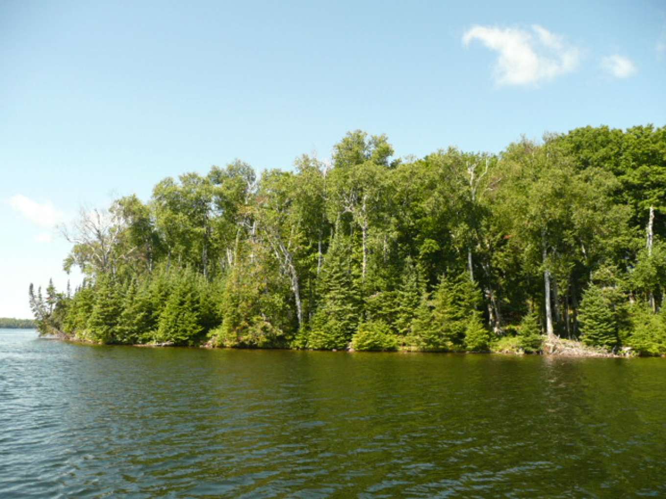 Eagles Nest Island Michigan, United States Private Islands for Sale